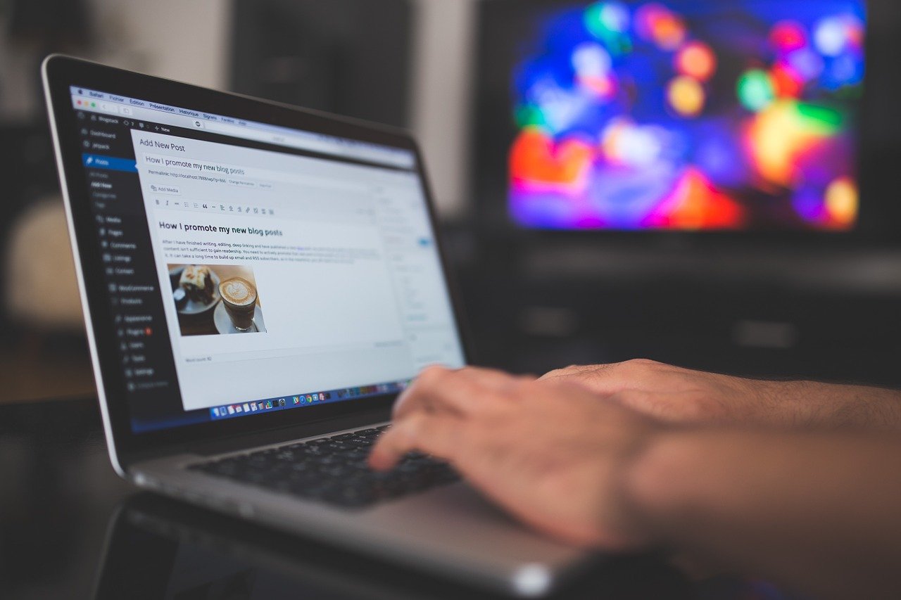 wordpress-923188_1280 Freelancer oder Wordpress-Agentur